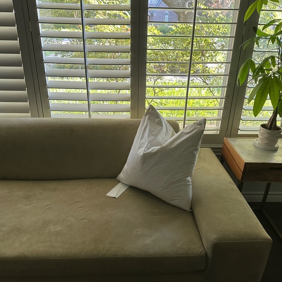 20 x 20 Down Throw Pillow Inserts - Picture 2 of 3